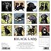 Just Black Labs 2020 Wall Calendar (Dog Breed Calendar)