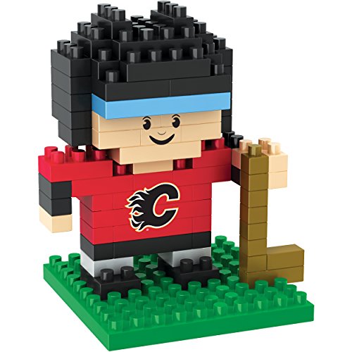Calgary Flames 3D Brxlz - Player