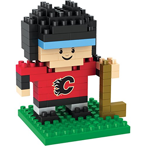 Calgary Flames 3D Brxlz - Player