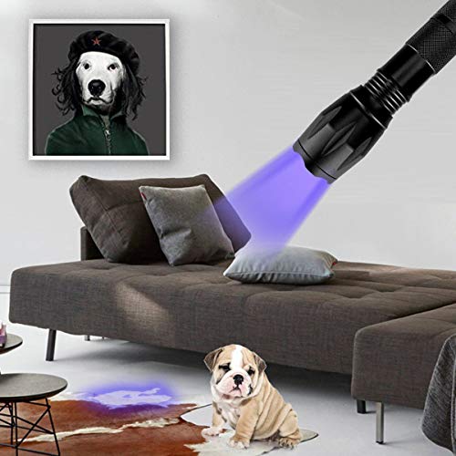 Escolite UV Flashlight Black Light,1 LED 395 nM Ultraviolet Blacklight Detector for Dog Urine, Pet Stains and Bed Bug
