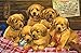 Priceless Puppies 60 Piece Sequenced Jigsaw Puzzle for Dementia and Alzheimer's