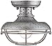 Franklin Iron Works Franklin Park Rustic Farmhouse Semi Flush-Mount Outdoor Ceiling Light Fixture Galvanized Cage 8 1/2