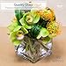 Royal Imports Flower Glass Vase Decorative Centerpiece for Home or Wedding - Clear Cube Shape, 4