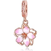 Alstade Birthday Fashion Love Heart Dangle Charm 925 Sterling Silver Charms fits Bracelets and Necklace Pendant Bead Charms Jewelry Present for Women Family Friends