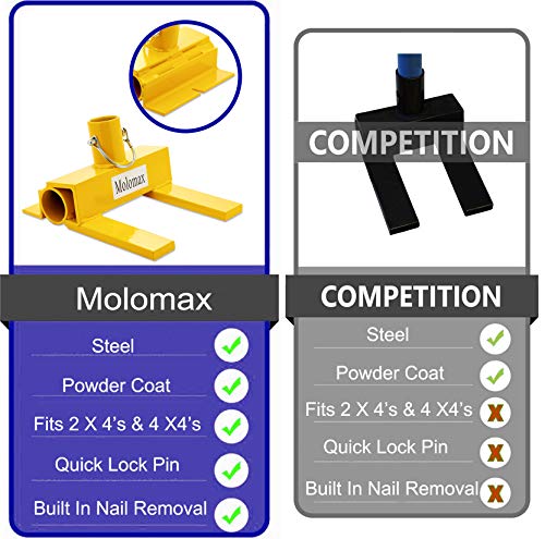 1 Molomax+Dog+diaper
