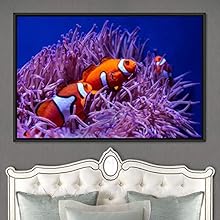 signwin Framed Canvas Wall Art Deep Under Group Jellyfish Marine Life Multicolor Photography Realism Tropical Ultra Whimsical - 16x24 inches