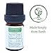 Bay Essential Oil (Laurel Leaf) by Simply Earth - 5 ml, 100% Pure Therapeutic Grade