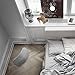 B&O PLAY by Bang & Olufsen Beoplay A6 Music System Multiroom Wireless Home Speaker, certified with Amazon Alexa Echo Dot (Light Gray)