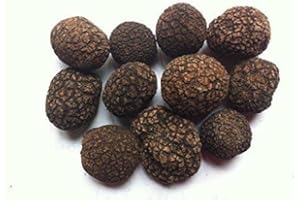 Famous Himalayas Black Whole Truffle dried in Jar 1 Pound (454 grams)