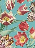 Royal Horticultural Society Tulips Boxed Notecards