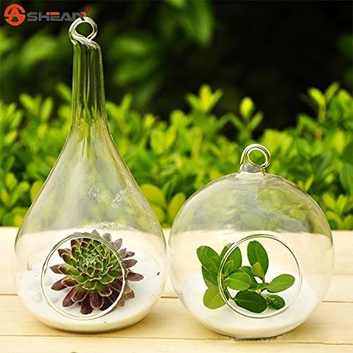 Higarden New Hot Clear Glass Round with 1 Hole Flower Plant Stand Hanging Vase Hydroponic Home Office Wedding Décor