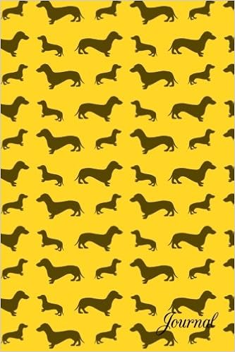 yellow dachshund