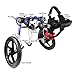Walkin' Wheels Dog Wheelchair - for Med/Large Dogs 50-69 lbs - Veterinarian Approved - Dog Wheelchair for Back Legs