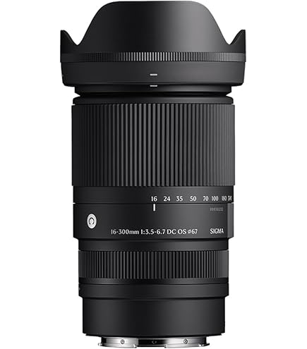 Amazon.com : Tamron 16-300mm f/3.5-6.3 Di II VC PZD Macro