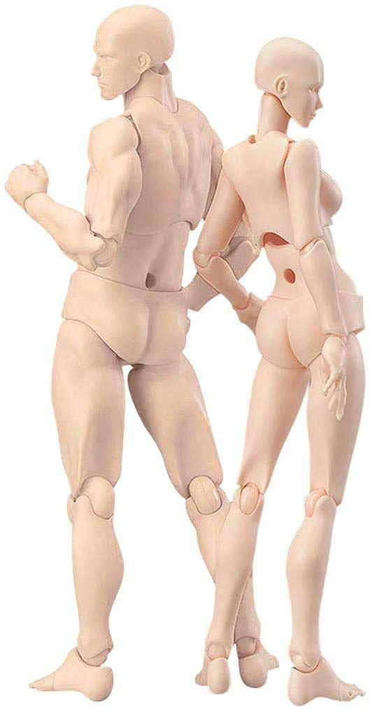 AXXHOTHO Body Action Figure Artist, Dummy Action Figures with Joints, Action Figures PVC Human Doll Model, Drawing Figure Models for Sketching, Painting, Drawing (Female + Male, Skin Colour)