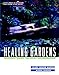 Healing Gardens: Therapeutic Benefits and Design Recommendations