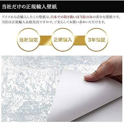 Amazon 輸入壁紙 壁紙 クロス フリース 不織布 内装 撮影 ドイツ製 シルバー Z3k アルテ Arte Rsx8 018 壁紙