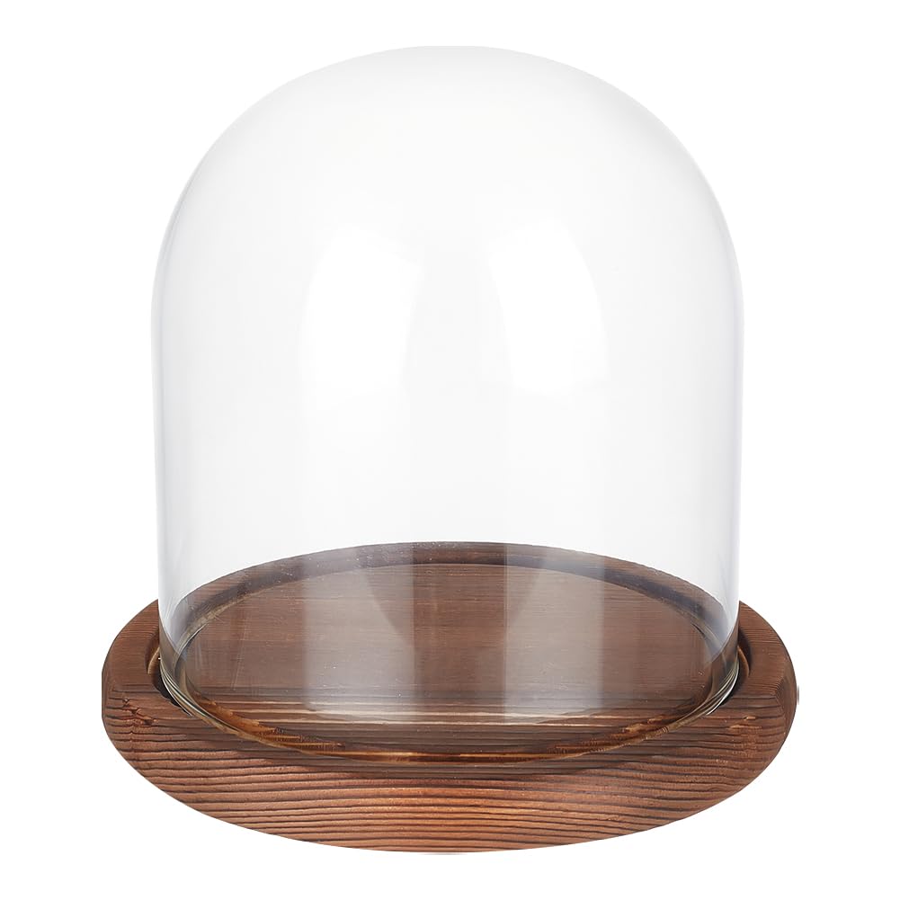 BENECREAT 14x13cm Eternal Transparent Flower Glass Cover, Cloche Dome Micro Landscape with Solid Wood Base for DIY Flower Craft