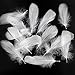 Coceca 350pcs White Feathers for Crafts 3-5 Inches (8-12cm) for Dreamcatcher Various Birthday Party Wedding Festival Decorations