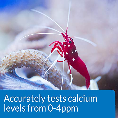 4 API+CALCIUM+Saltwater+Aquarium+1+Count