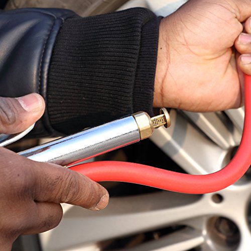 WYNNsky Style Tire Inflator Gauge, with Heavy Duty Straight Head Air Chuck and 12" Hose