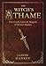 The Witch's Athame: The Craft, Lore & Magick of Ritual Blades (The Witch's Tools Series) by Jason Mankey
