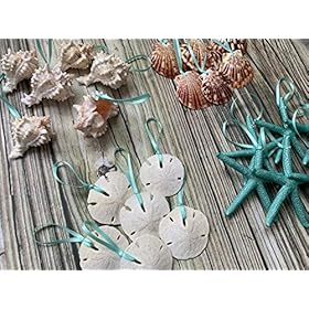 Beach Seashell and Starfish Christmas Tree Ornament Package (Standard Seashell Package) 51je5I5ImNL