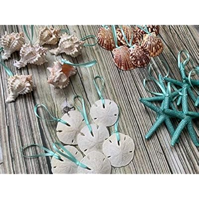 Beach Seashell and Starfish Christmas Tree Ornament Package (Standard Seashell Package) 51je5I5ImNL