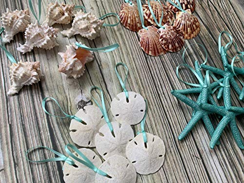 51je5I5ImNL 51je5I5ImNL