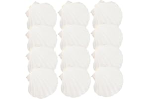 TOYANDONA 20pcs Natural Scallop Shells for Serving and Baking Seafood Heat-Resistant Grillable Seashells for