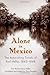 Alone in Mexico: The Astonishing Travels of Karl Heller, 1845-1848 by Karl Bartolomeus Heller, Dr. Terry Rugeley