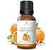 Certified Organic (USDA & ECOCERT) Sweet Orange Essential Oil by RejuveNaturals, 15 ml | Pure - Alcohol, Gluten & GMO Free | Natural Citrus Aromatherapy - Antifungal, Antibacterial, Stress Reliever