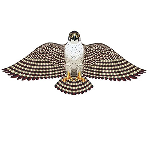Gayla 839 Peregrine Falcon Wing Flapper 55 839 Buy