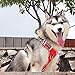 Big Dog Harness No Pull Adjustable Pet Reflective Oxford Soft Vest for Large Dogs Easy Control Harness (L, Red)