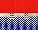 Wonder Woman Plastic Table Cover