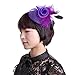 Navifoce Fashion Women's Flower Feather Mesh Net Fascinator Beaded Cocktail Headwear with Hair Clip and Brooch (Light Purple)
