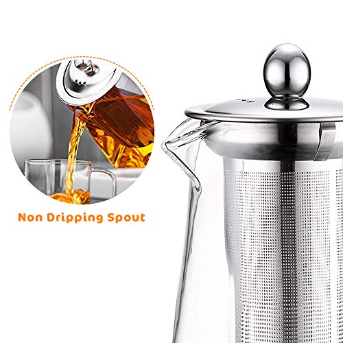 Highbor Clear Glass Tea Pot with Strainer, 500 ml/16.9oz Borosilicate