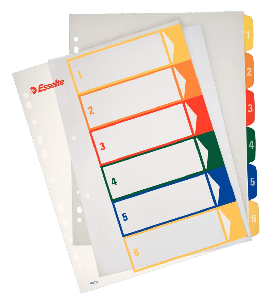 Esselte A4 6 Positions Printable Index Polypropylene