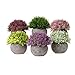 T4U Artificial Succulent Plants Potted, Mini Fake Colorful Lifelike Flowers in Pots for Home Office Wedding Decoration Pack of 6