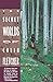 The Secret Worlds of Colin Fletcher (Vintage Departures) by 