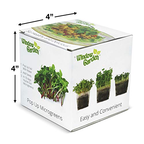 Pop Up Microgreens Kit (3 Varieties) - Just Add Water and Seed. Perfect Size, a Quick, Smart, Nutritious Meal. Includes Fiber Soil in a Bag, Radish, Sunflower, Pea Shoot Seed. Easy Grow/Delicious.