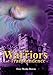 The Warriors of Transcendence by 