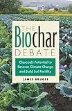 The Biochar Debate