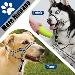 Reflective Head Collar, No Pull Collar for Small