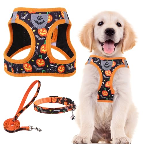 PUPTECK Halloween Dog Harness