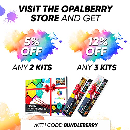 Opalberry Paint by Numbers for Adults Framed Adults' PaintbyNumber
