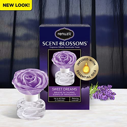 Renuzit Scent Blossoms Fragrance Diffuser Handmade Flower, Sweet Dreams