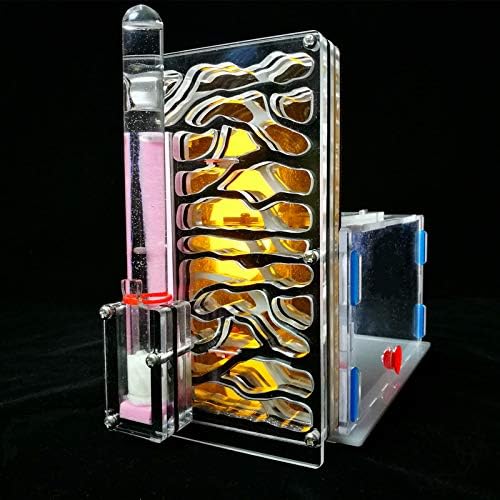 ROUND YUAN DIY Toy Ant Nest R1 With Feeding Area Ant Farm Acrylic Insect Cages Villa Pet Mania For House Ants Insect Villa House Toy (BLACK)