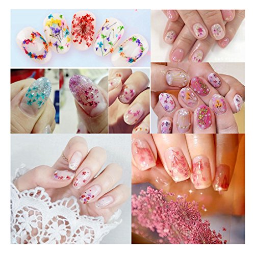 3D Nail Art Accessories Kits 12 colors Natural Real Dry Flower, Nails Rhinestone Pearl Metal Studs Wheel, Multicolor Striping Tape Line, Nail Stickers Decal Decoration Set with Tweezers (SET19A)