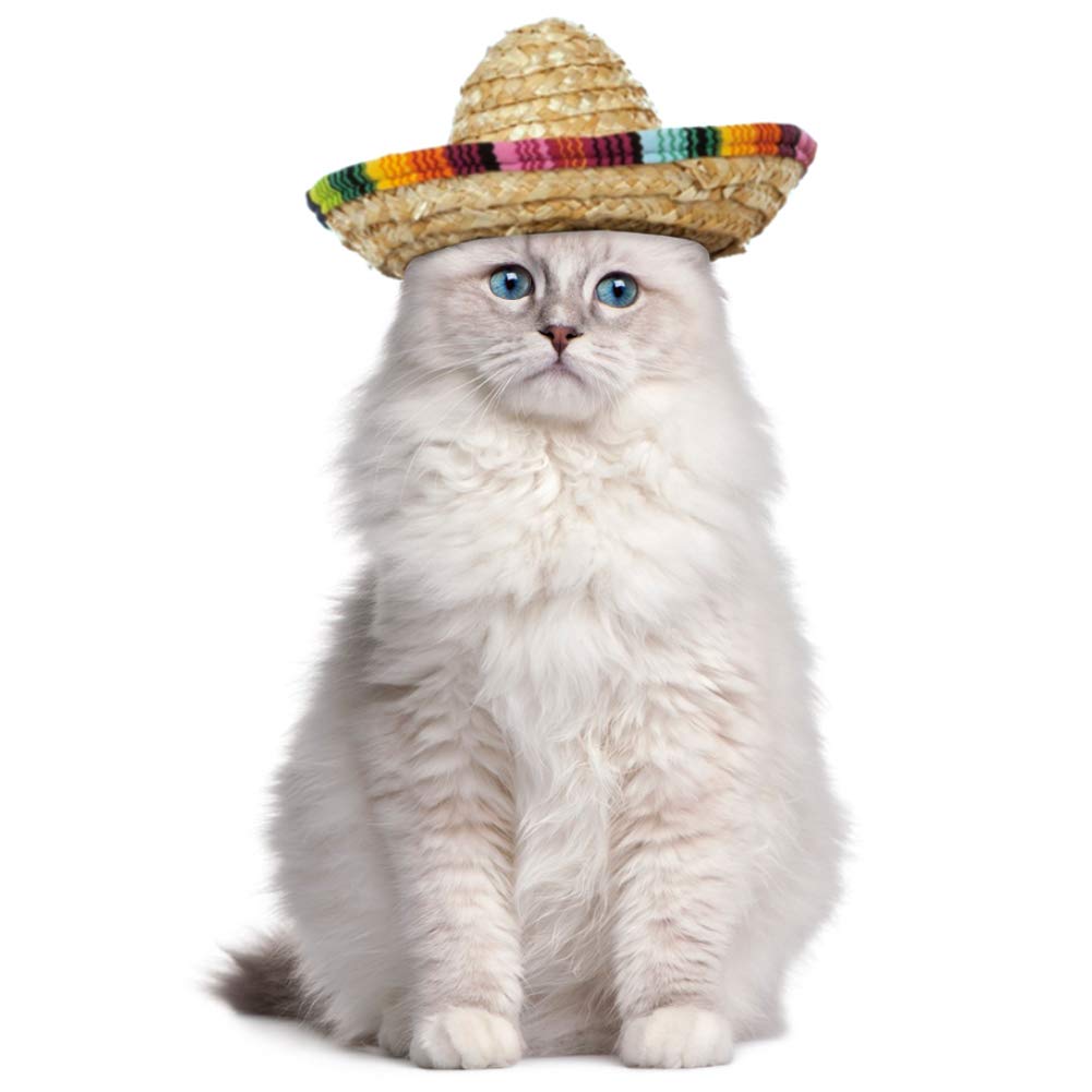 2 PCS Cinco de Mayo Fiesta Fabric and Straw Sombrero Headbands Hat for Fiesta Carnival Birthday Summer Party